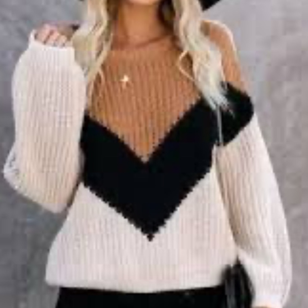 Lumiere Women’s Crew Neck Long Sleeve Sweater Color Block Vici Collection Size S